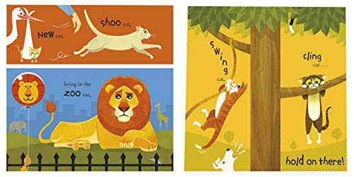 100 Cats - Retail Maharaj