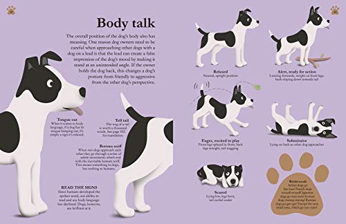 How Dogs Work: A Head-to-Tail Guide to Your Canine (DK Practical Pet Guides) - Retail Maharaj