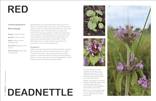 RHS What's That Weed?: Know Your Weeds and Learn to Live with Them - Retail Maharaj