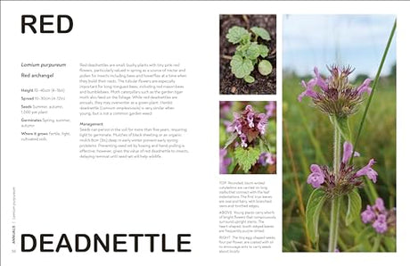 RHS What's That Weed?: Know Your Weeds and Learn to Live with Them - Retail Maharaj