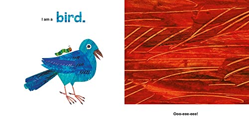 Can You Guess? Animal Sounds with The Very Hungry Caterpillar