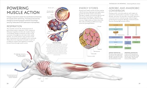 Science of Swimming: Transform Your Stroke, Improve Strength, Revolutionize Your Training - Retail Maharaj