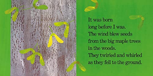 Red Leaf, Yellow Leaf - Retail Maharaj