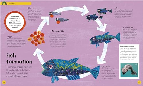 The Very Hungry Caterpillar's Very First Ocean Encyclopedia: An Introduction to the Ocean, for Very Hungry Young Minds - Retail Maharaj