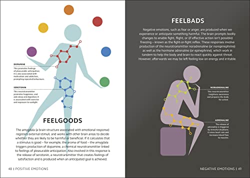 Simply The Brain (DK Simply) - Retail Maharaj