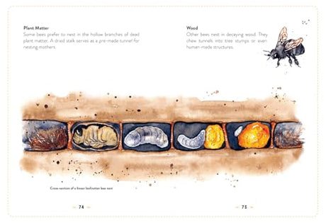 The Little Book of Bees: An illustrated guide to the extraordinary lives of bees - Retail Maharaj