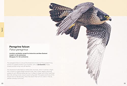 Ben Rothery's Deadly and Dangerous Animals - Retail Maharaj