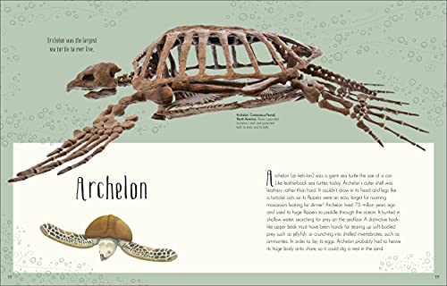 Dinosaurs and Other Prehistoric Life (DK Children's Anthologies) - Retail Maharaj