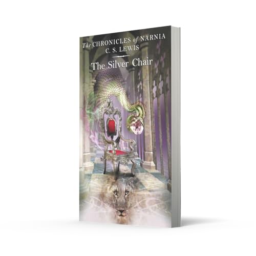 Silver Chair - Retail Maharaj