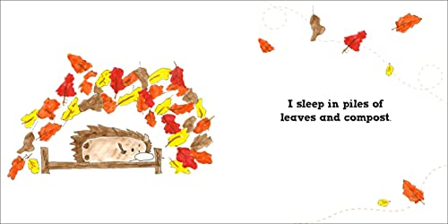 Roly the Hedgehog (Roly and Friends) - Retail Maharaj