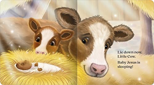 Shh... Baby Jesus Is Sleeping