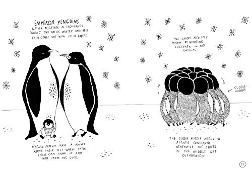 Baby Animals!: Amazing Adorable Facts - Retail Maharaj