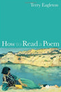 How to Read a Poem - Retail Maharaj