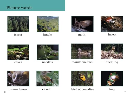 BBC Earth: Forests- Ladybird Readers Level 4 - Retail Maharaj