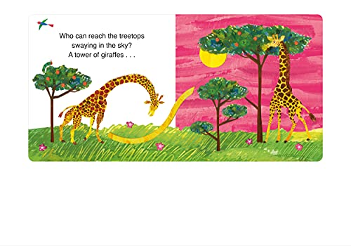 The Very Hungry Caterpillar's Wild Animal Hide-and-Seek - Retail Maharaj