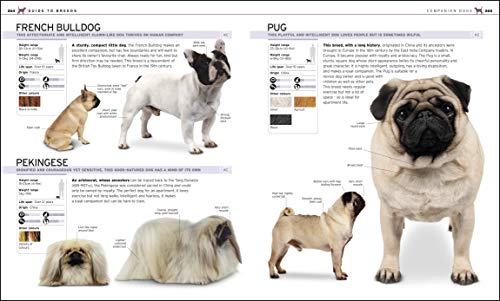The Complete Dog Breed Book - Retail Maharaj