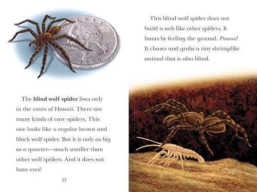 Black Out!: Animals That Live in the Dark: Animals That Live in the Dark (Penguin Young Readers, Level 3)