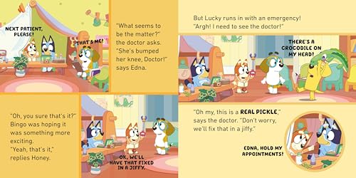 The Bluey: The Doctor - Retail Maharaj