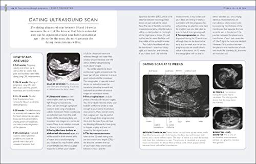 Your Pregnancy Week By Week - Retail Maharaj