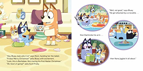 Bluey: Christmas Swim - Retail Maharaj