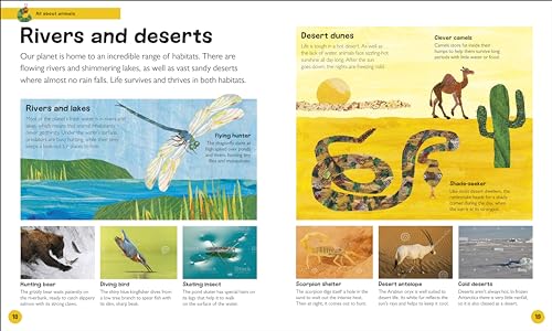 The Very Hungry Caterpillar's Very First Animal Encyclopedia: An Introduction to Animals, For VERY Hungry Young Minds (The Very Hungry Caterpillar Encyclopedias) - Retail Maharaj