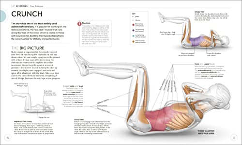 Science of HIIT: Understand the Anatomy and Physiology to Transform Your Body - Retail Maharaj