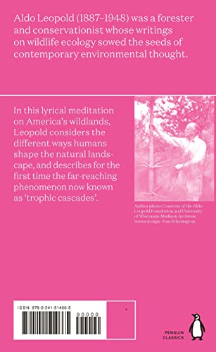 Think Like a Mountain - Retail Maharaj