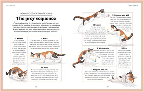 What's My Cat Thinking?: Understand Your Cat to Give Them a Happy Life - Retail Maharaj