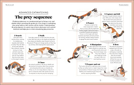 What's My Cat Thinking?: Understand Your Cat to Give Them a Happy Life - Retail Maharaj