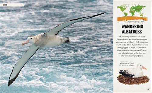 Amazing Animal Journeys: The Most Incredible Migrations in the Natural World - Retail Maharaj