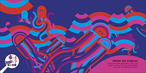 Hidden Animals: An Illustrated Guide to Evolution - Retail Maharaj