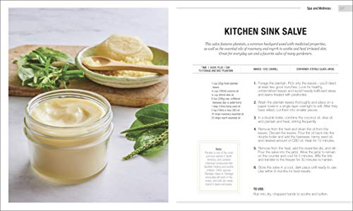 The CBD Oil Solution: Treat Chronic Pain, Anxiety, Insomnia, and More-without the High - Retail Maharaj