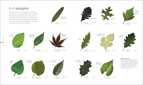 The Science of Plants: Inside their Secret World - Retail Maharaj