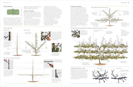 RHS Pruning and Training: What, When, and How to Prune Over 800 Plants - Retail Maharaj