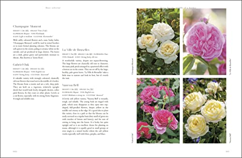 RHS Roses: An Inspirational Guide to Choosing and Growing the Best Roses - Retail Maharaj