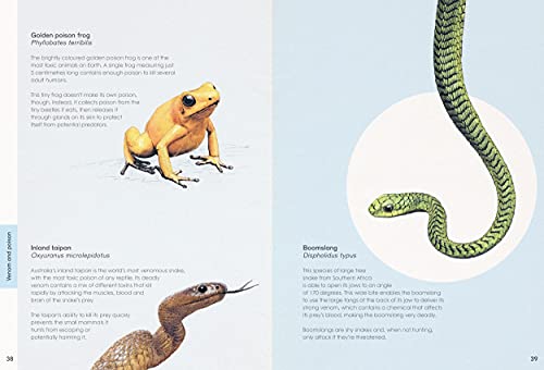 Ben Rothery's Deadly and Dangerous Animals - Retail Maharaj