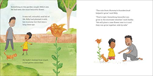 Lost in the Clouds: A gentle story to help children understand death and grief - Retail Maharaj