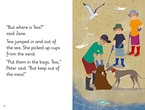 Key Words LVL : 6c : Helping Out (Key Words with Peter and Jane) - Retail Maharaj