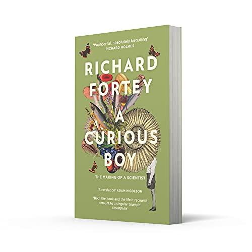 A Curious Boy - Retail Maharaj