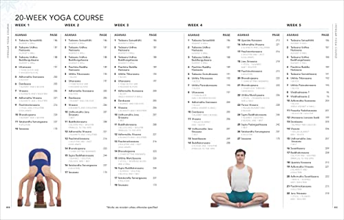 B.K.S. Iyengar Yoga The Path to Holistic Health: The Definitive Step-by-step Guide - Retail Maharaj