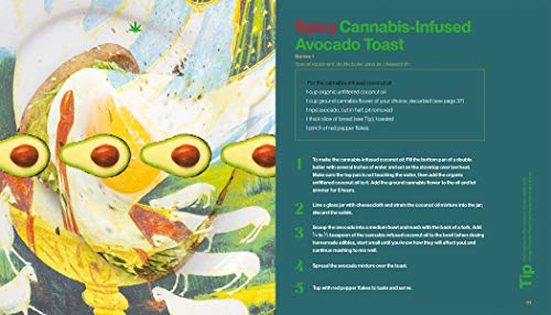 High Art: The Definitive Guide to Getting Cultured with Cannabis
