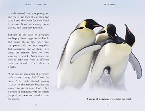 Penguin Readers Level 2: Dynasties: Penguins (ELT Graded Reader) - Retail Maharaj