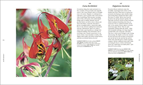 RHS A Plant for Every Day of the Year - Retail Maharaj