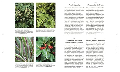 RHS A Plant for Every Day of the Year - Retail Maharaj