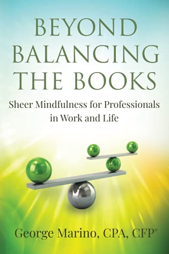 Beyond Balancing the Books: Sheer Mindfulness for Professionals in Work and Life - Retail Maharaj
