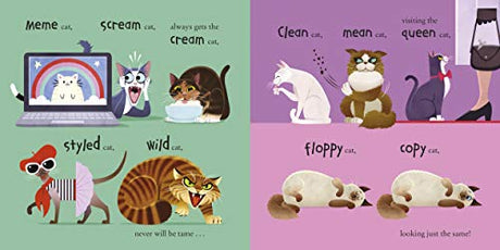 100 Cats - Retail Maharaj