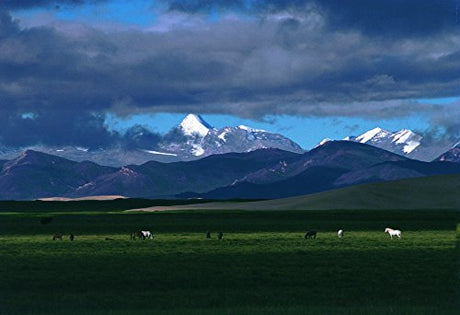 Nicholas Roerich / Ashok Dilwali: Inspired by The Himalayas - Retail Maharaj