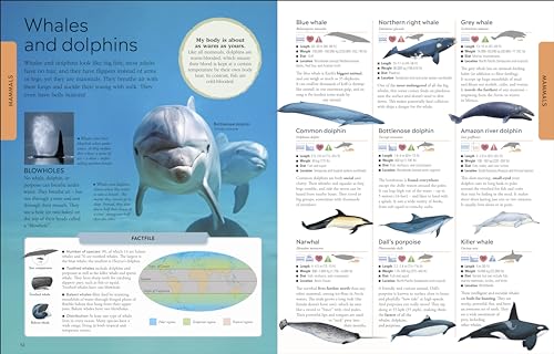 Animals: A Children's Encyclopedia - Retail Maharaj