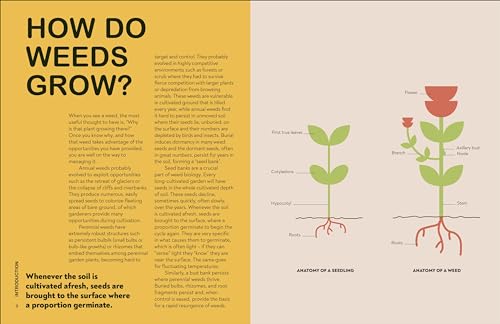 RHS What's That Weed?: Know Your Weeds and Learn to Live with Them - Retail Maharaj