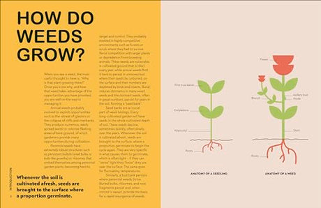 RHS What's That Weed?: Know Your Weeds and Learn to Live with Them - Retail Maharaj